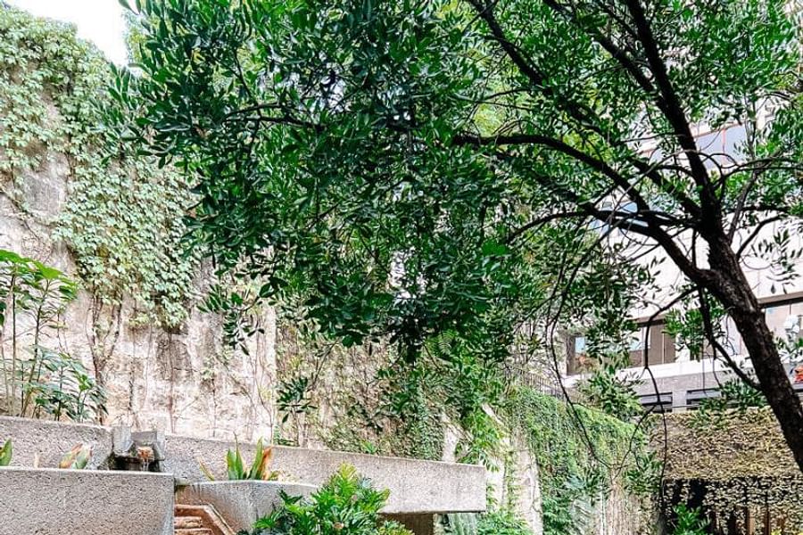 Rita's on the River San Antonio